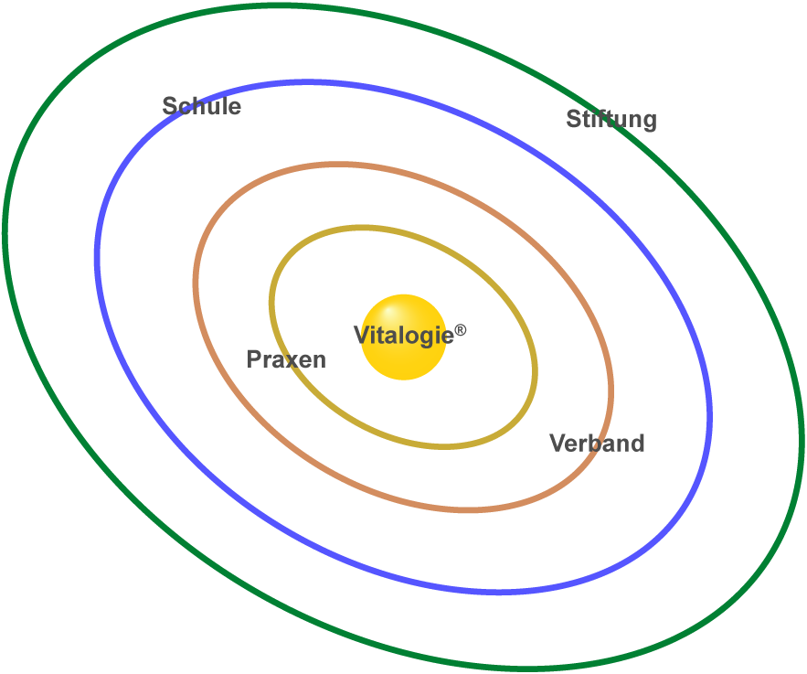 Das System der Vitalogie mit Schule Praxen Stiftung und Verband