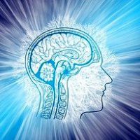 Vitalogie Gehirn Rückenmark