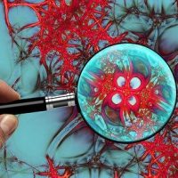 Vitalogie Nervensystem