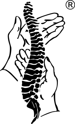 Wirbelsäule Vitalogie